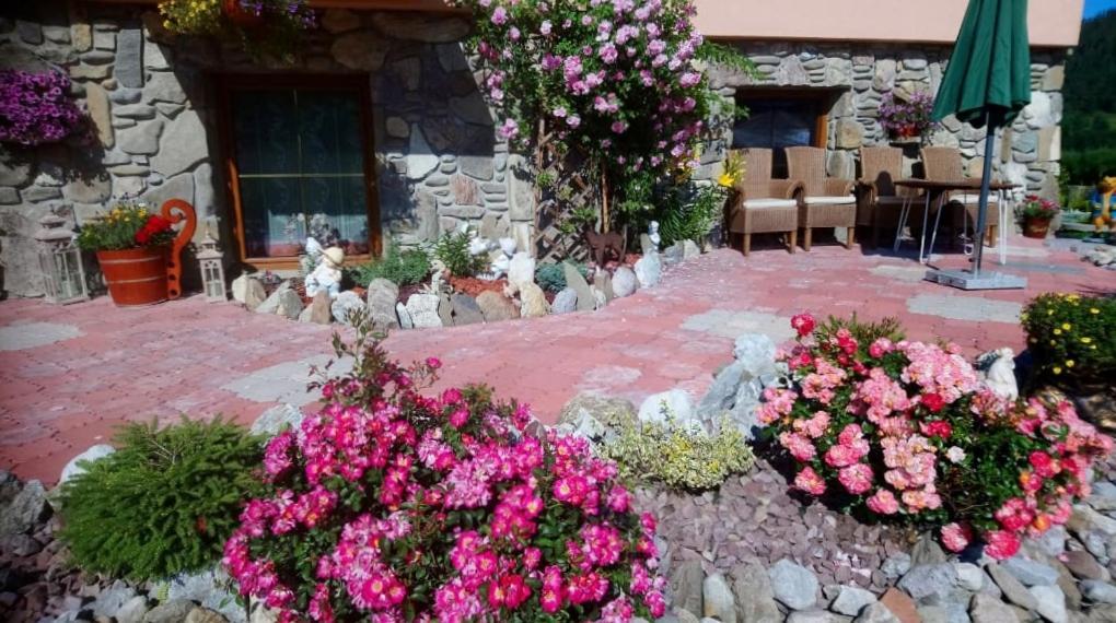 Bed and Breakfast Ow. Orla Perc Murzasichle Exteriér fotografie